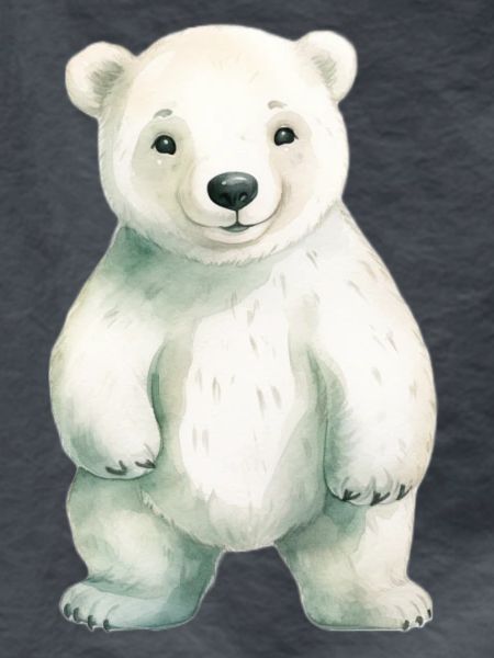 Eisbär Eisbär Klassenmaskottchen