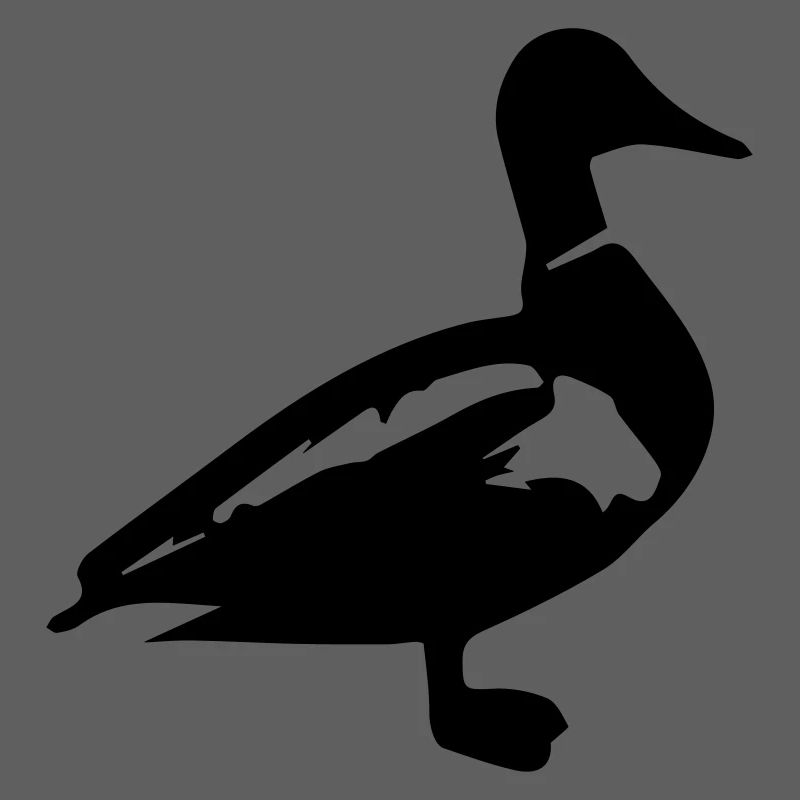 Canard canard colvert