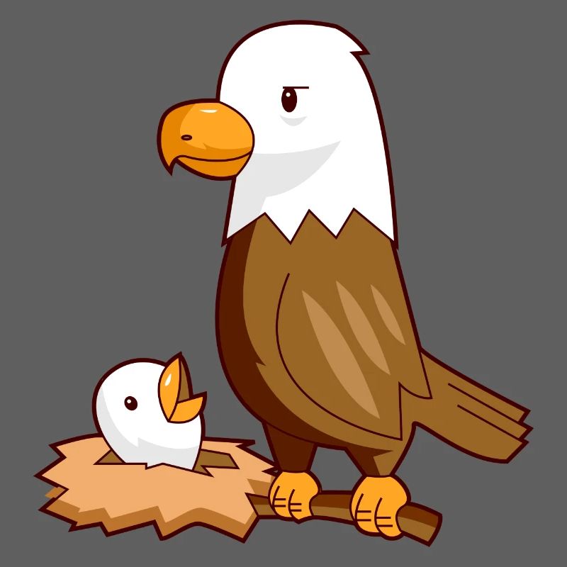 Nid d'aigle aigle bébé