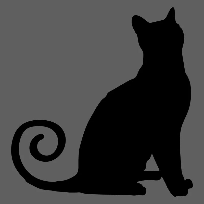 Silhouette de chat