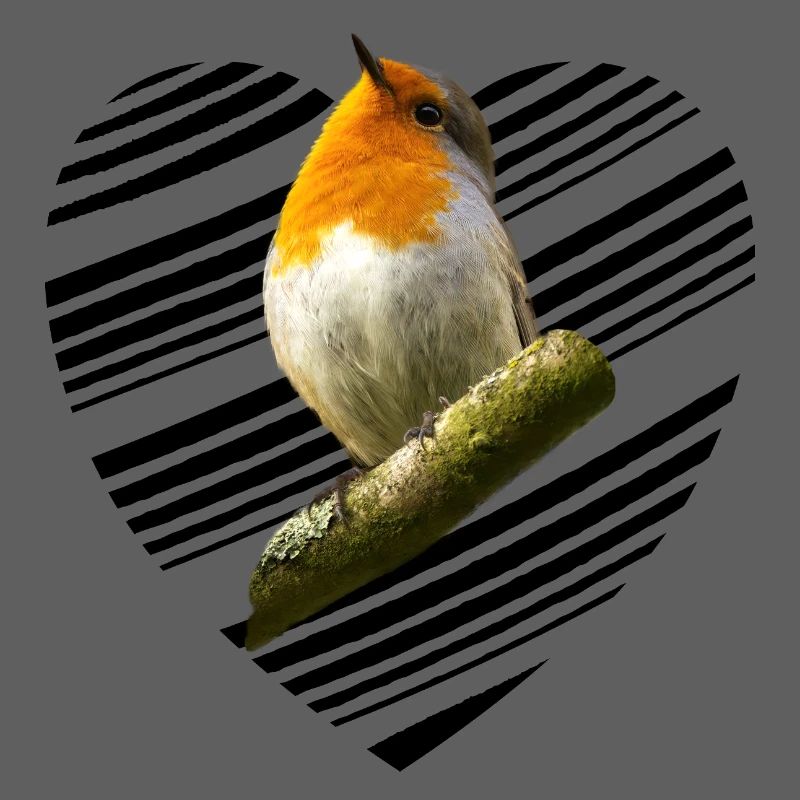 Robin Erithacus rubecula