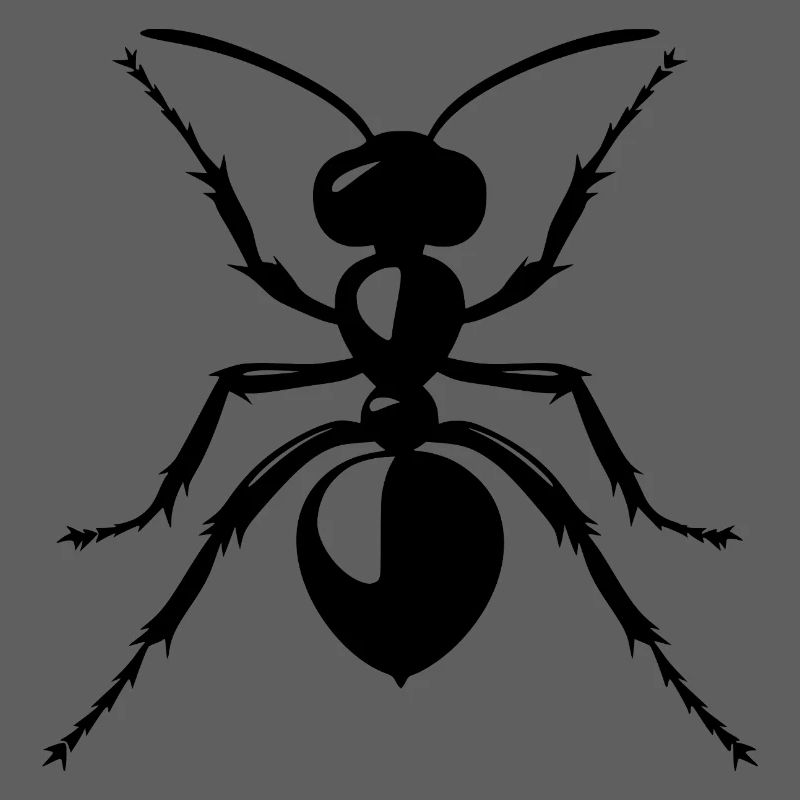 Ant