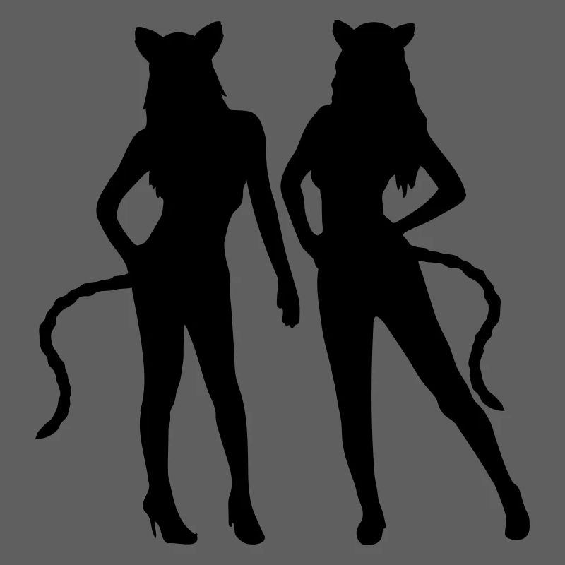 Équipe 2 chats