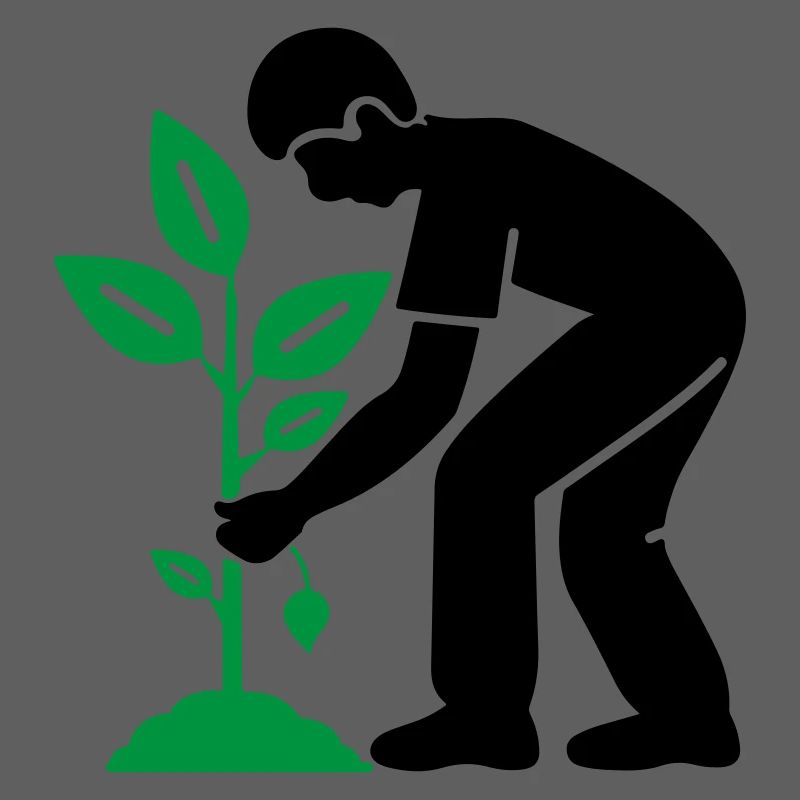 Tree Plants Garden Environment