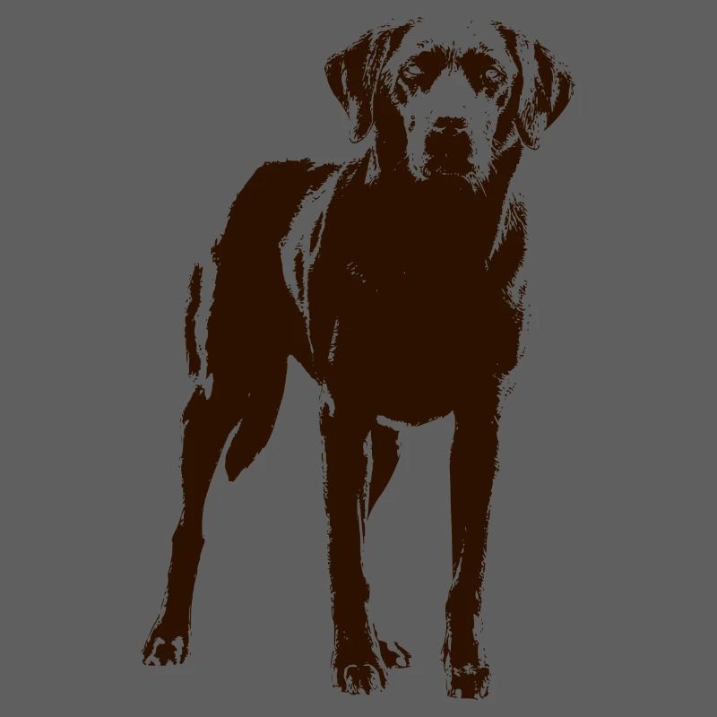 Labrador