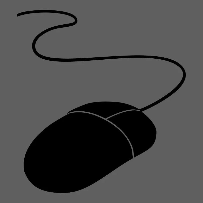 computer mouse