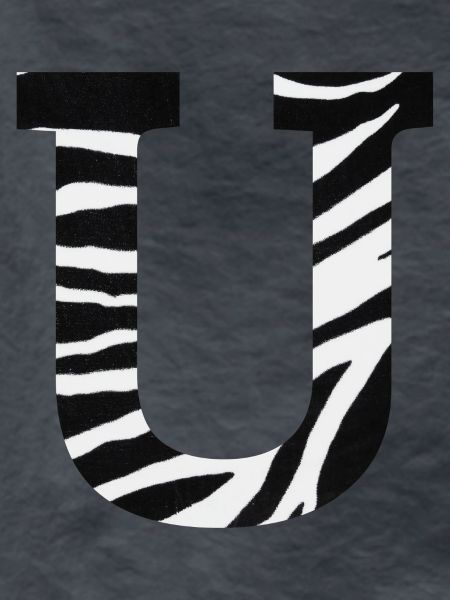 Brief an das Zebra