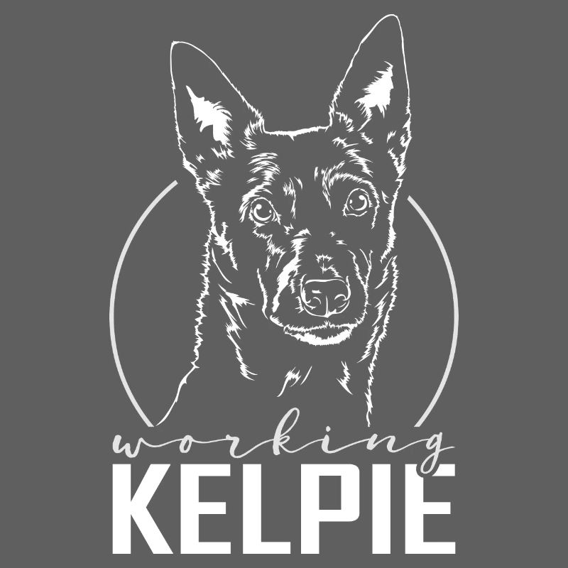 WORKING KELPIE Dog portrait Wilsign's herding dogs