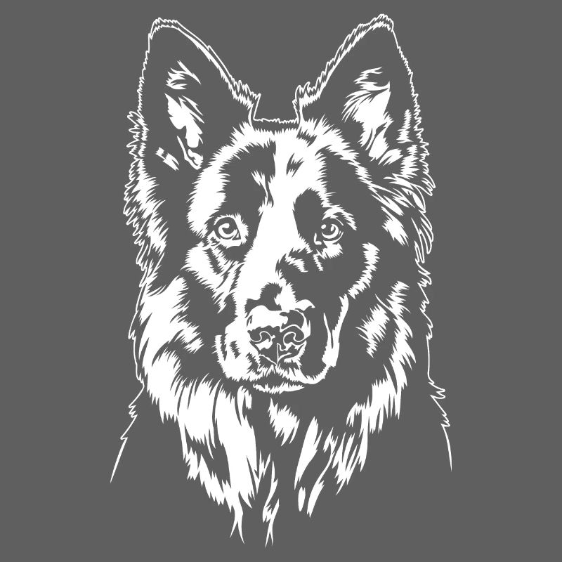 German Black Shepherd Portrait Wilsigns