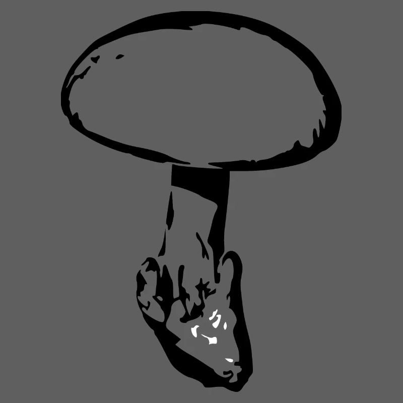 Champignon noir, cueillette de champignons