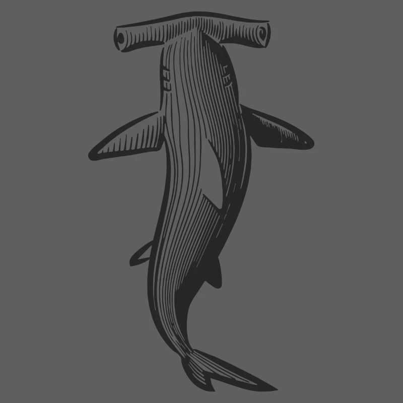 Conception de requin marteau