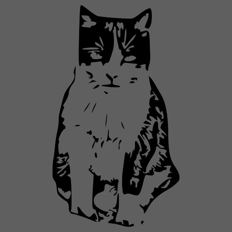 Chat noir