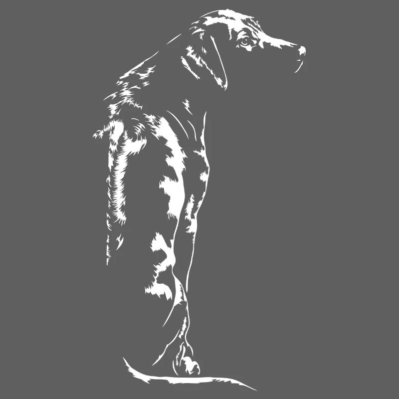 RHODESIAN RIDGEBACK RR Wilsigns chien canin