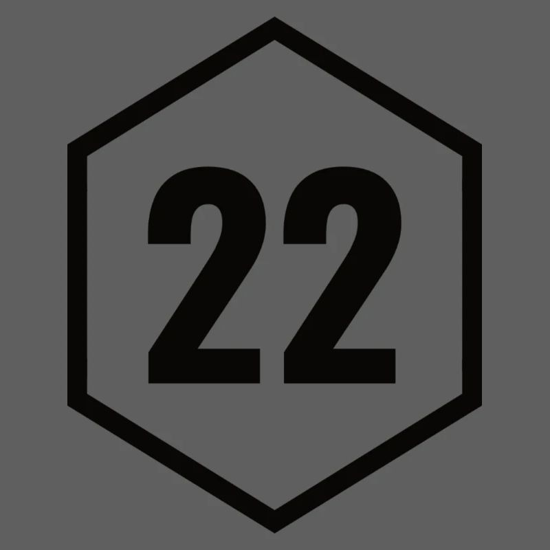 Bretagne - Côtes d'Armor 22 - Schwarz