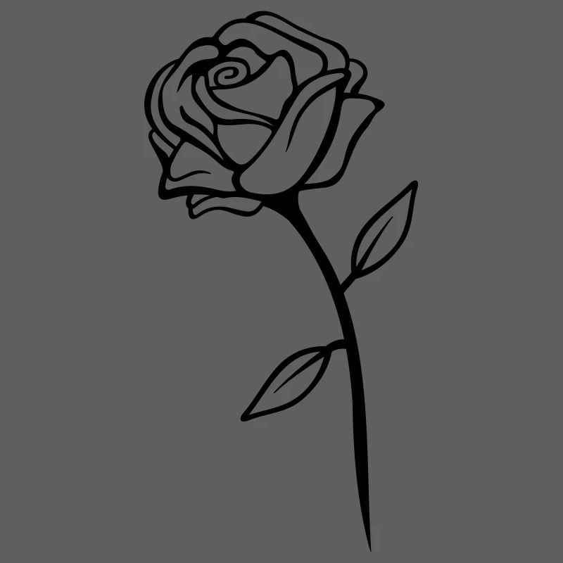 Conception de rose