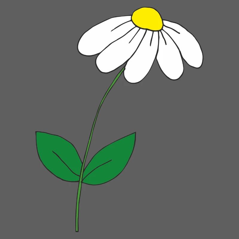 süsses Gänseblümchen