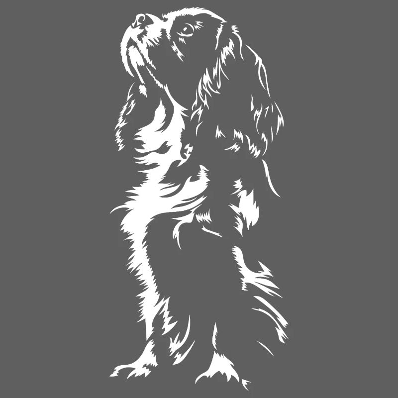 Cavalier King Charles Spaniel Chien Chien Wilsigns