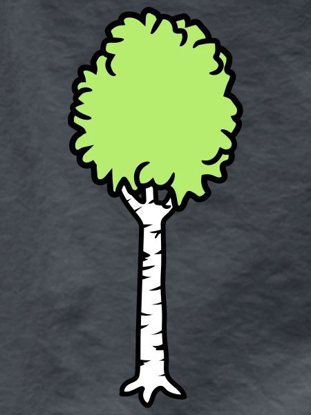 Birch Trees Cool