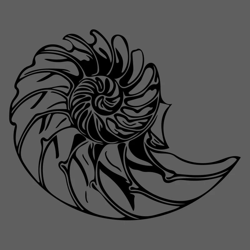 Elegant shell