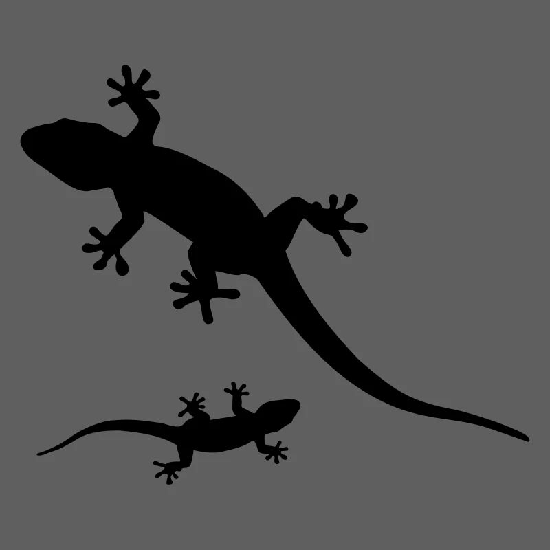 Geckos