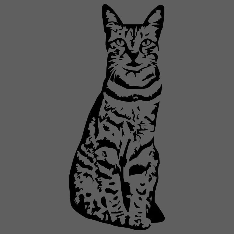 Katze Katze Schwarzes Kätzchen