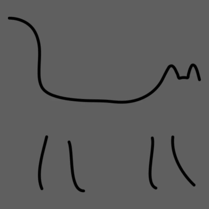 Chat noir