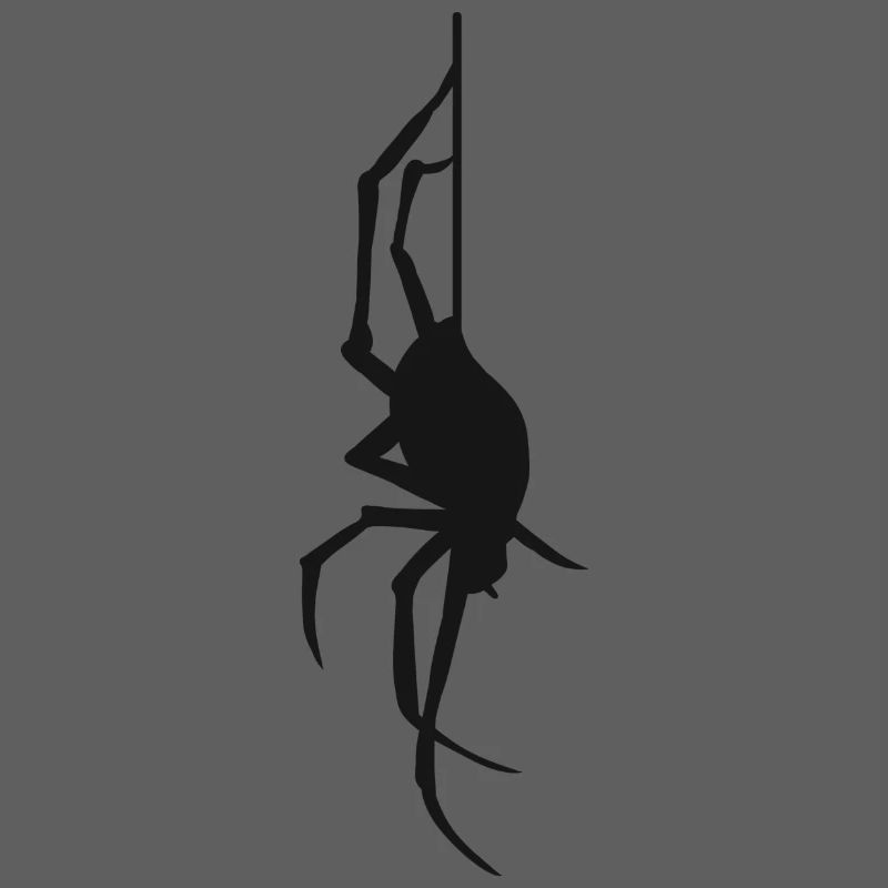 Halloween cadeau araignée araignée Araignées araignées