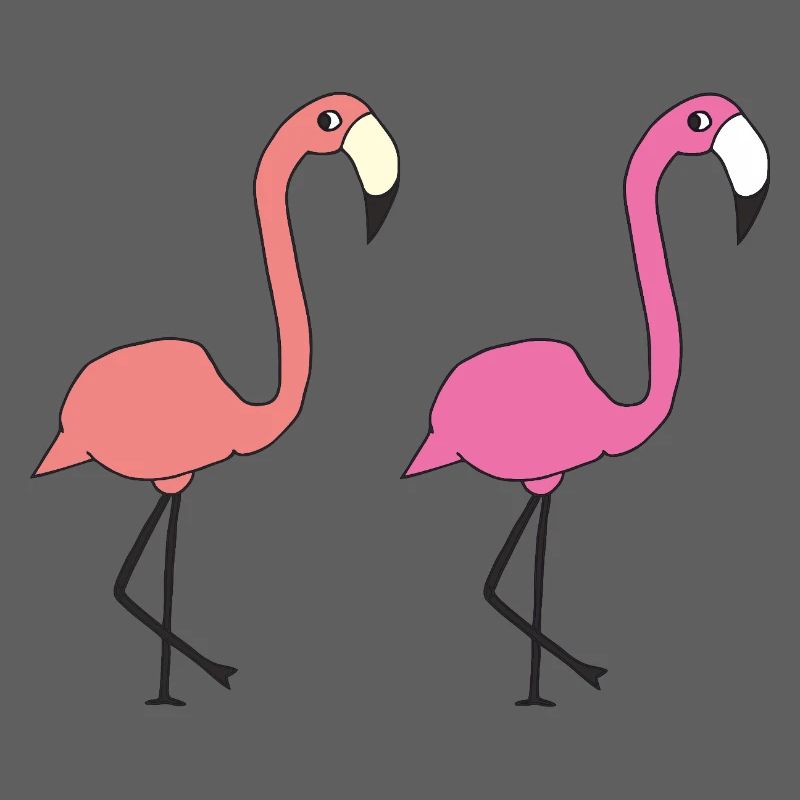 flamingo freunde