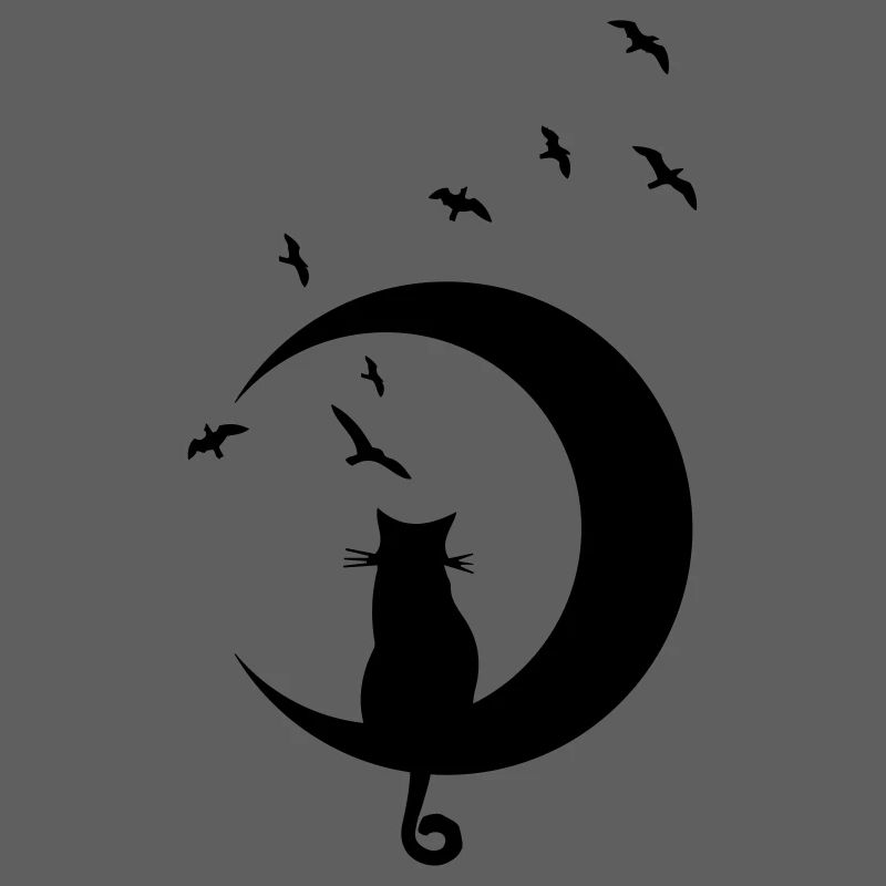 CAT ON MOON