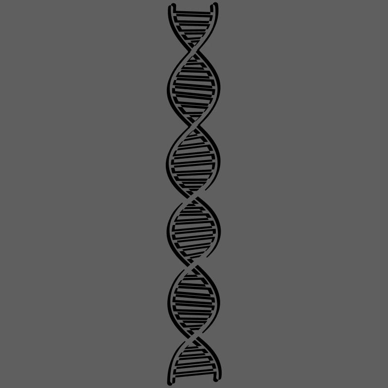 research dna dns genome gene science knowledge c