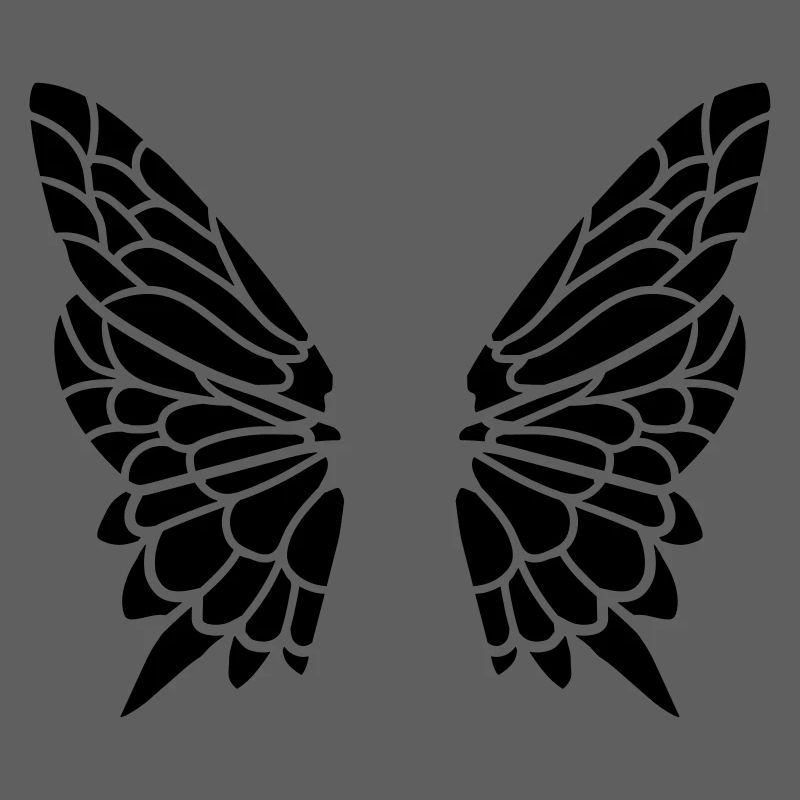 Aile du papillon