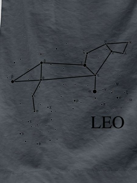 Constellation Leo