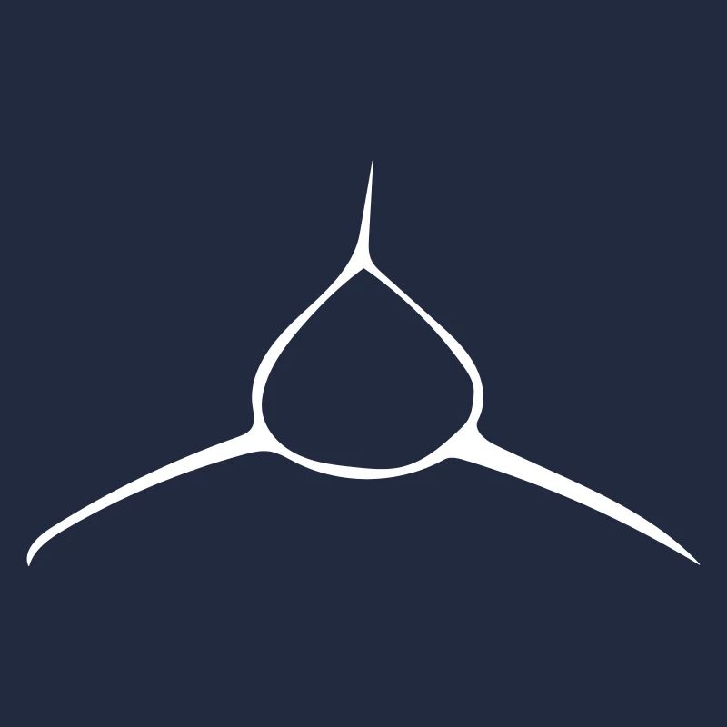 Shark - Vector Design
