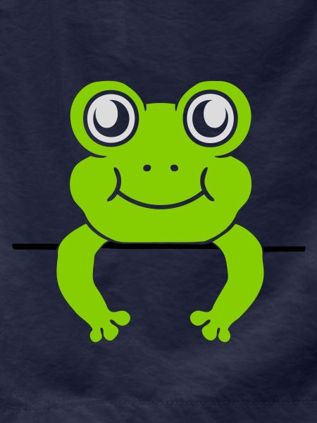 Frog Wall Shield Comic