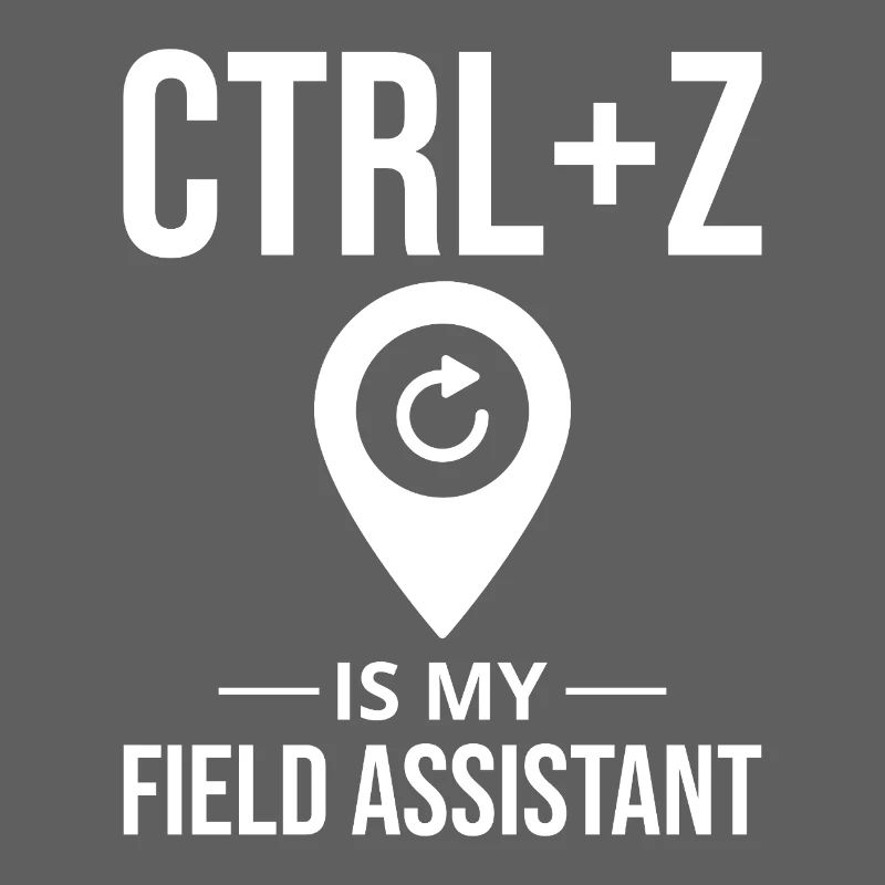 CTRL+Z Field Assistant Modification des données SIG Annuler