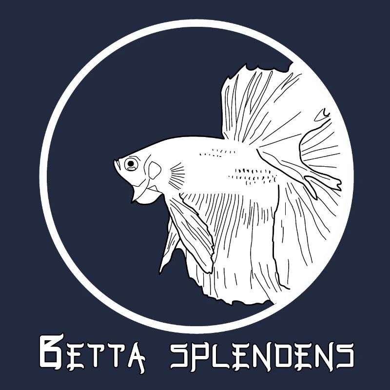 Betta splendens (Halfmoon)
