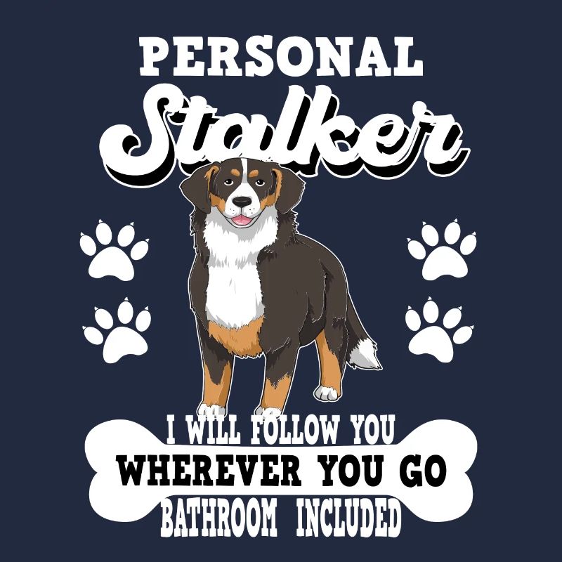 Berner Sennenhund Schweizer Hund
