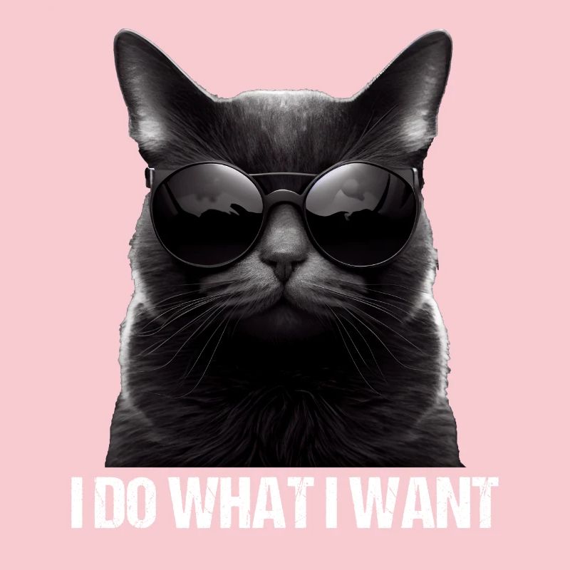 Katze Kätzchen Ich Mache Was Ich Will Katze