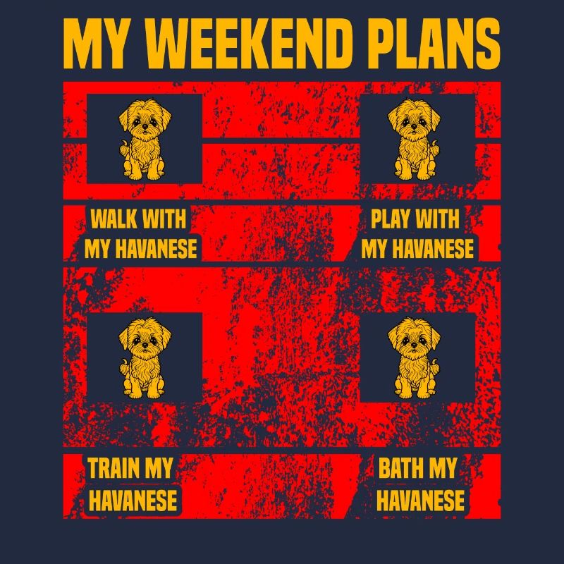 My Weekend plans Havanese