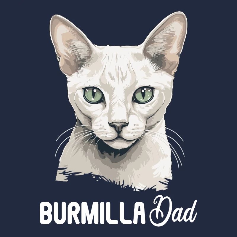 Burmilla Kätzchen Burmilla Katze