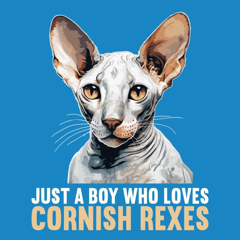 Chaton Cornish Rex Chat Cornish Rex