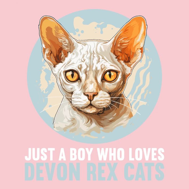 Chaton Devon Rex Chat Devon Rex