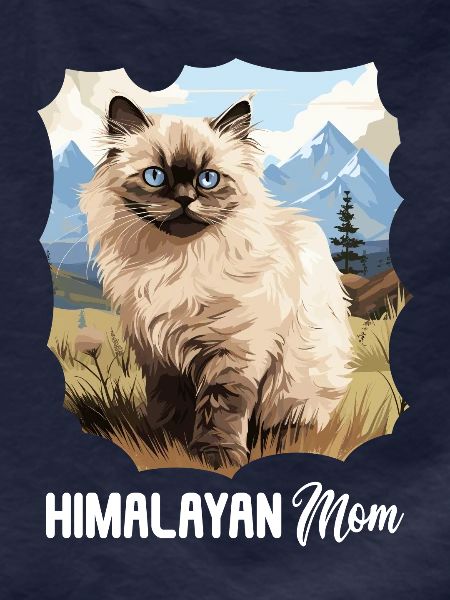 Himalayan Cat Colourpoint Katze