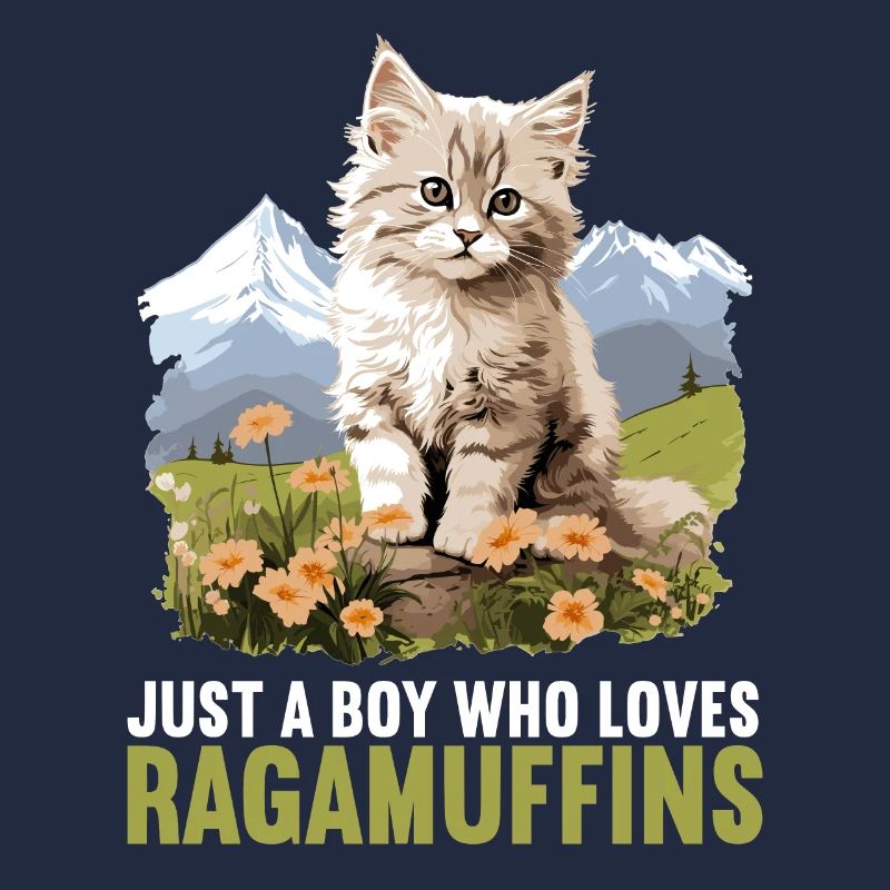 Ragamuffin Kätzchen Ragamuffin Katze