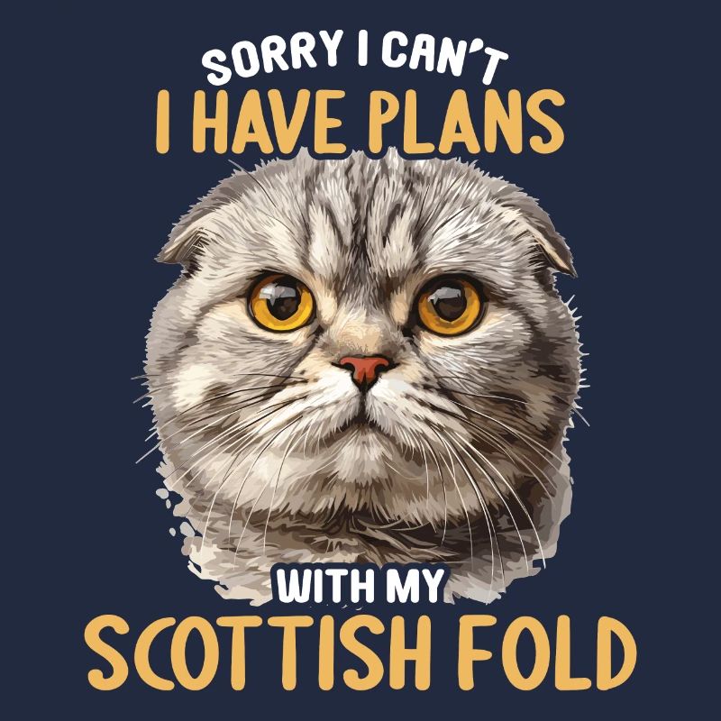 Scottish Fold Kitten Scottish Fold chat