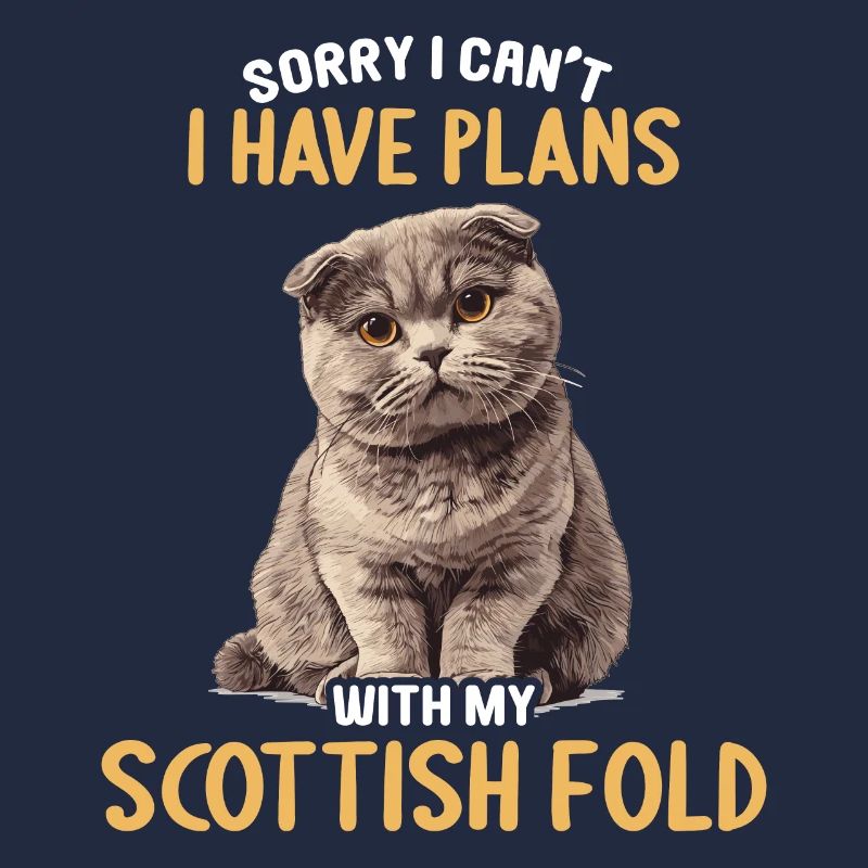 Scottish Fold Kitten Scottish Fold chat