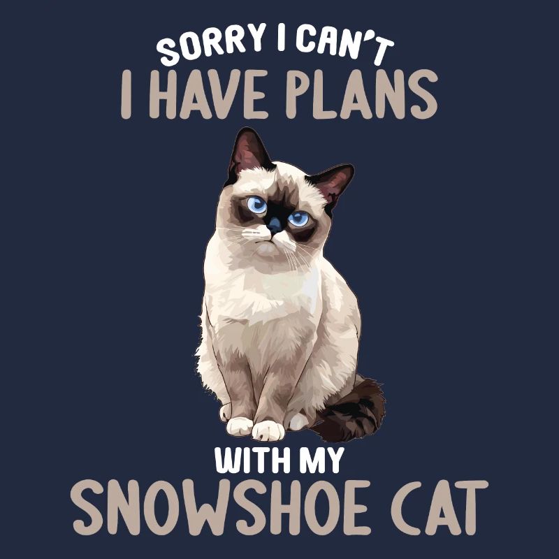 Snowshoe Kitten Snowshoe Cat