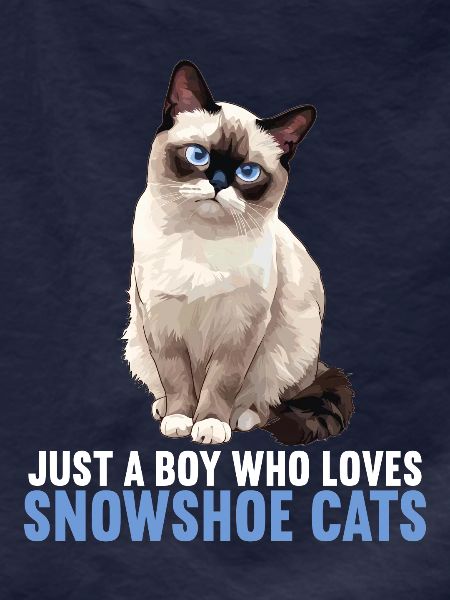Snowshoe Kitten Snowshoe Cat