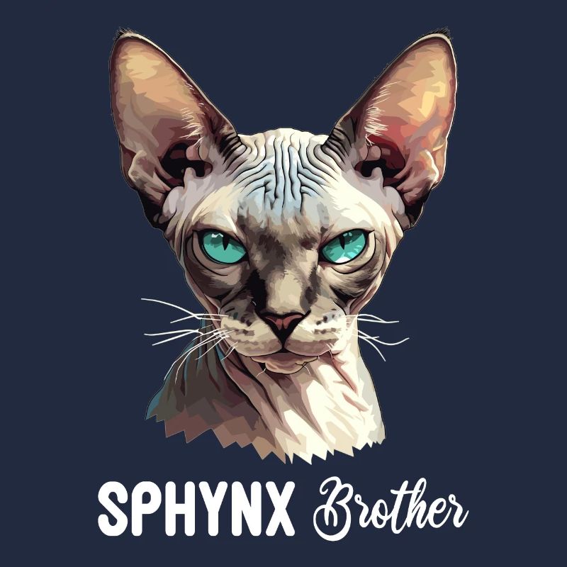 Chaton Sphynx Chat Sphynx