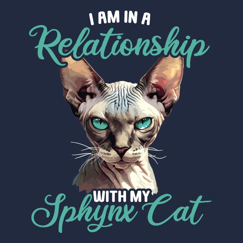 Chaton Sphynx Chat Sphynx